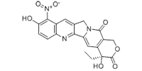 9-NITRO-10-HYDROXYCAMPTOTHECIN