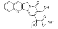 SODIUM CAMPTOTHECIN