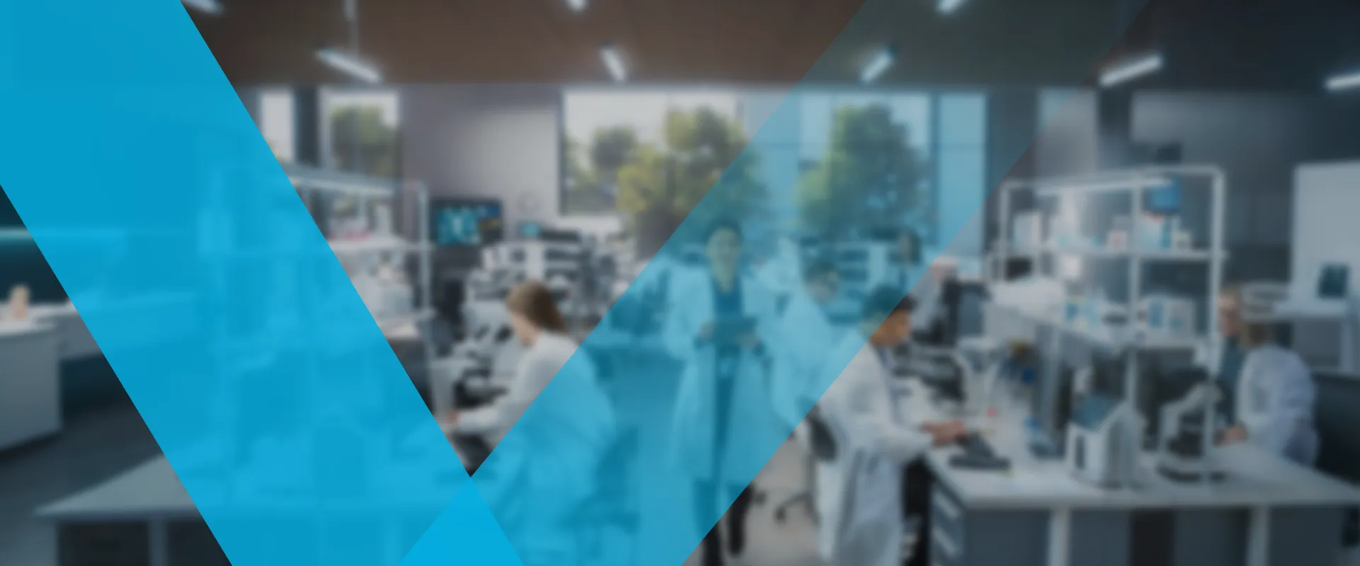 Reliable Quality · Flexible Customization · Global Delivery