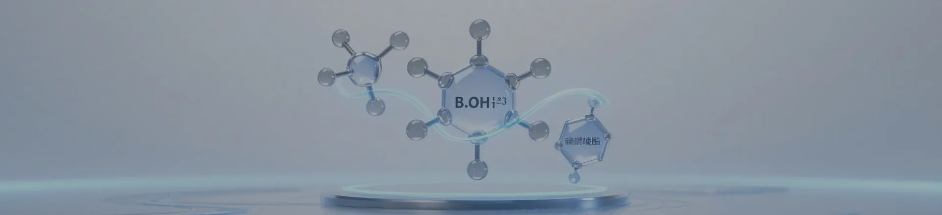 Boronic Acid & Derivatives Types