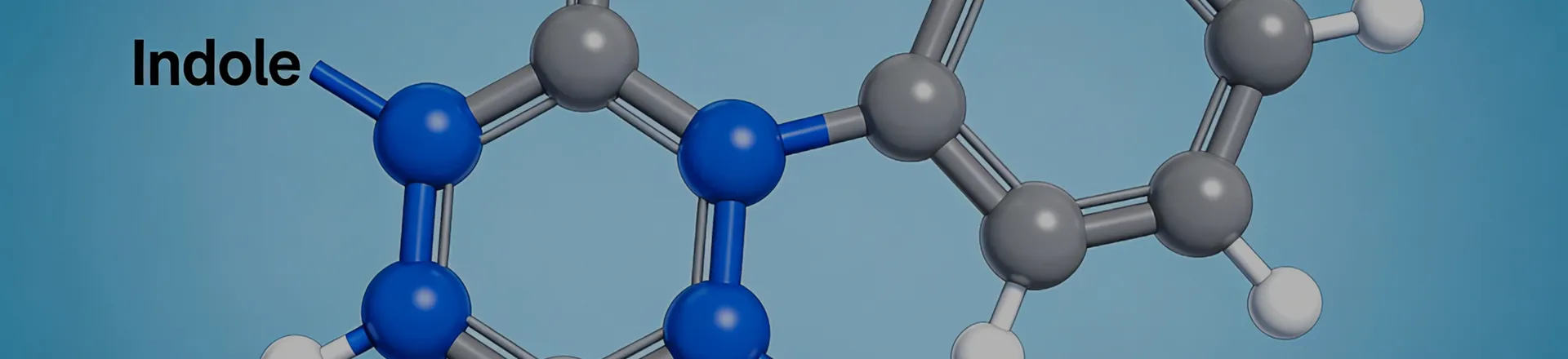Indole & Fused Ring Compounds Types